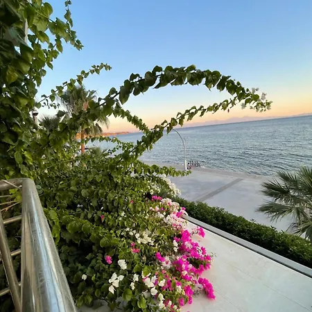 Izmirin Kalbi Denize Sifir Willa